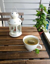 Sims Green (D14), Apartment #528799191